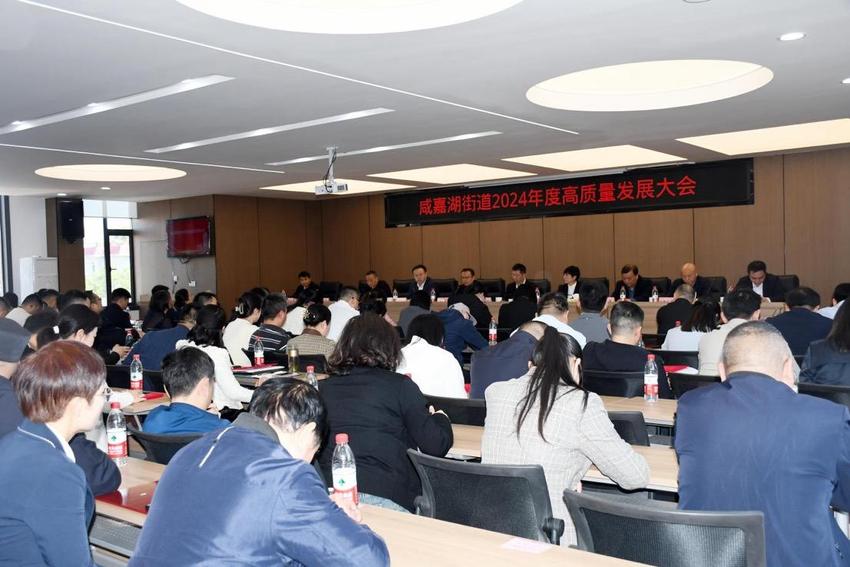 湖南湘江新区咸嘉湖街道召开高质量发展大会