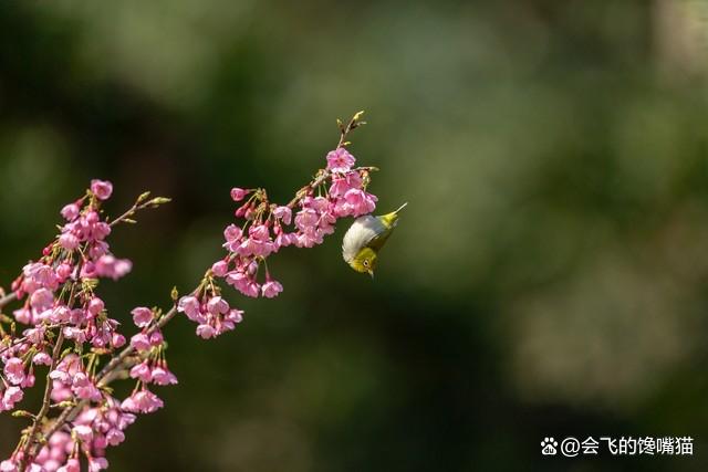 曾经欺骗了一个爱我的男人，现在离婚11年，应该找他吗