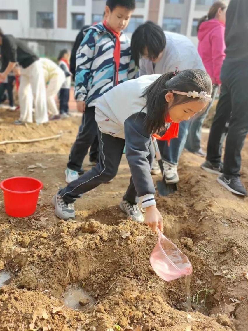 龙抬头·农耕情·劳动美——济南高新区康虹路小学春耕节活动