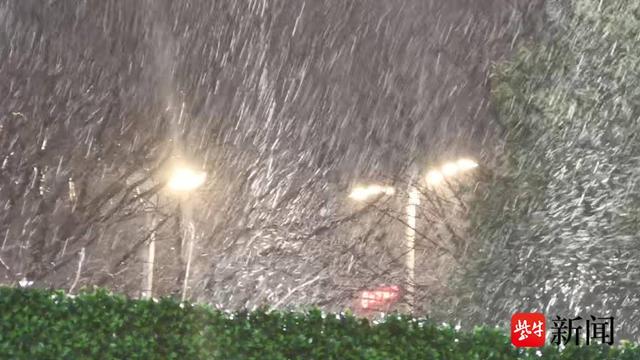 南京下起了“春雪”