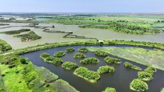 黄河奔流永向前 为经济发展提供了澎湃水动能