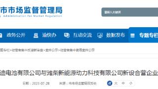 弗迪电池有限公司与潍柴新能源动力科技有限公司新设合营企业案