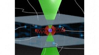 物理学家利用圆形里德堡量子比特实现量子模拟里程碑