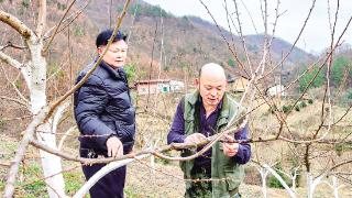 张本平:人勤业兴日子甜