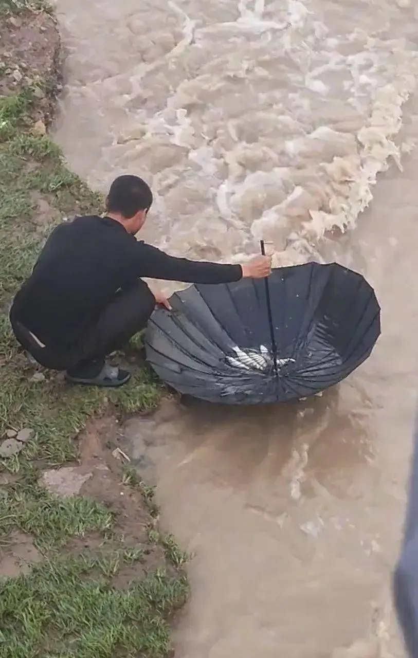 男子把雨伞放进河里，随后发生的一幕，惊呆了众人