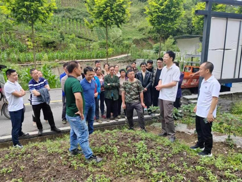 国家中药材帮扶“天团”到访巫溪