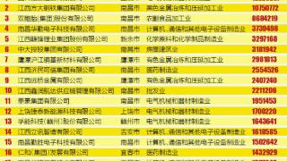 2024江西民营企业100强揭晓