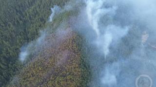 重庆云阳突发山火 武警官兵紧急救援