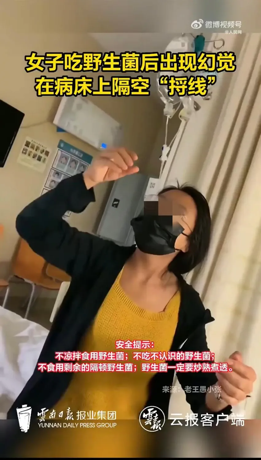 又有人吃野生菌中毒出现幻觉：病床上隔空“捋线”，让人心疼又好笑