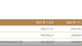 国信证券半年报：归母净利润35.9亿元 同比增长11.93%