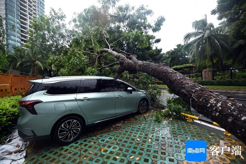 组图 | 直击强风暴雨天气的三亚