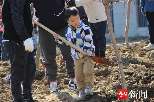 南京玄武环境集团组织“整点小树”植树活动