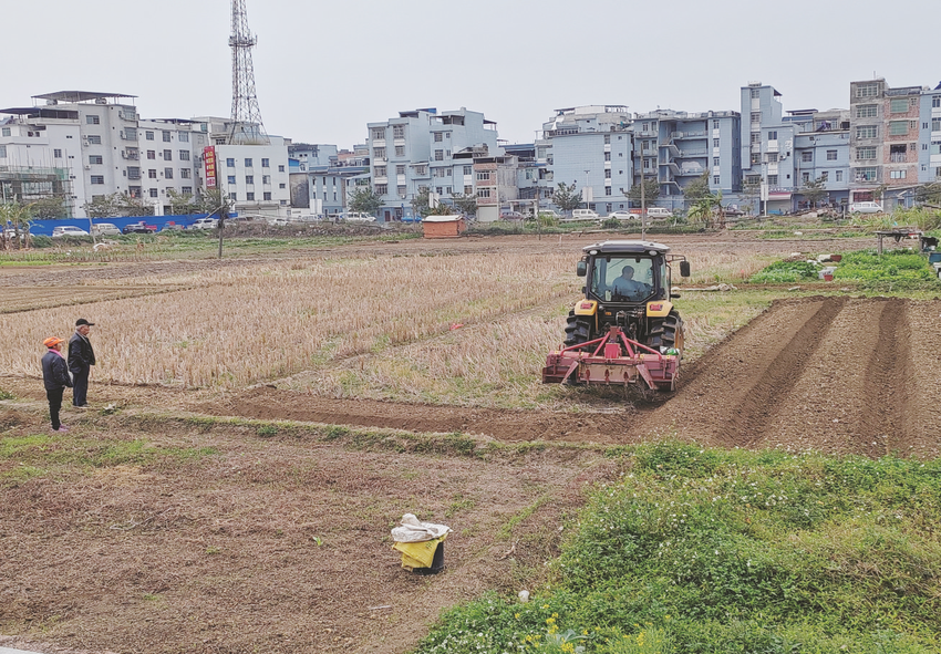 追赶春光抢农时 田间地头春耕忙