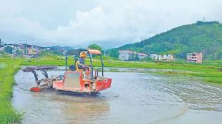 俞永椿：新农人逐梦新沃野