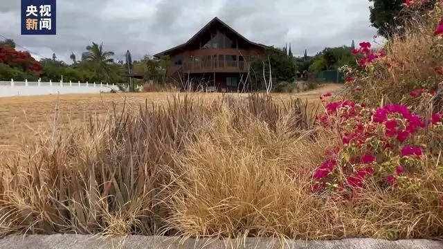 美国夏威夷男子因野火失去女儿 起诉当地政府应对火灾不力