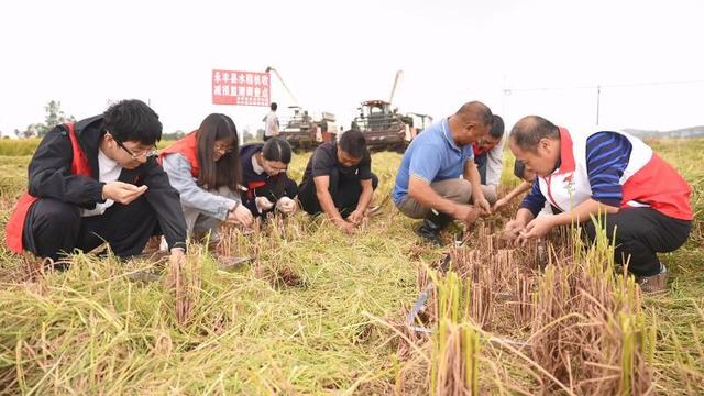 江西永丰：农技服务助农增收