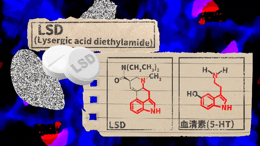 菌子中毒后看到的小人，究竟长什么样