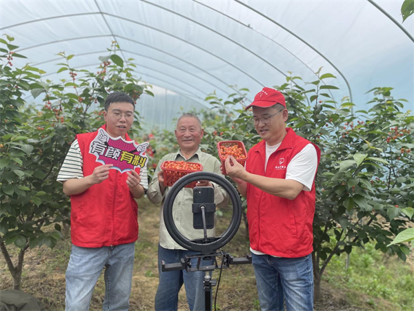 诗画九岭“香溢”红 看丰收的果子结在九岭村