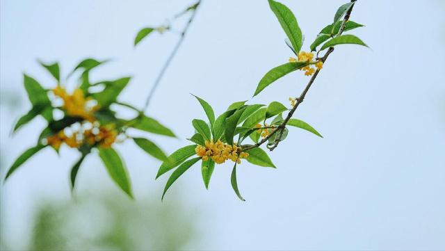 退休金5千躺平享受生活，儿子儿媳不愿意，劝不动我儿媳就想离婚