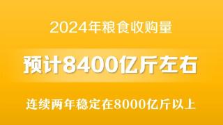 2024年粮食收购量预计8400亿斤左右