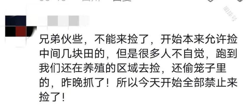 养虾场被误传“随便捡”损失数十万元，老板：辟谣后基本没人来了