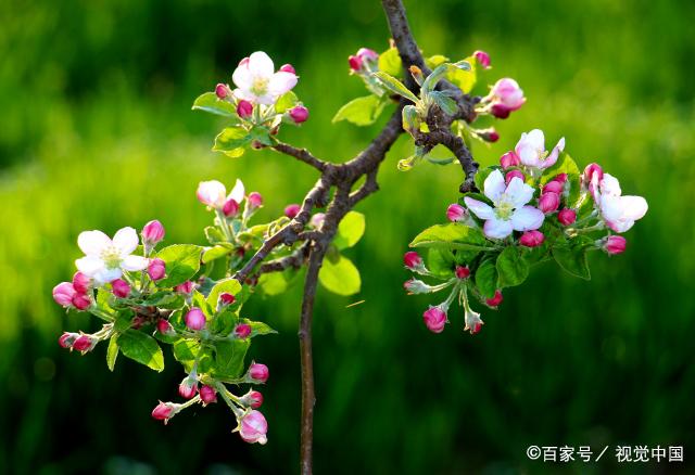 夫妻感情再好，男人有两样东西要藏起来，别让老婆发现