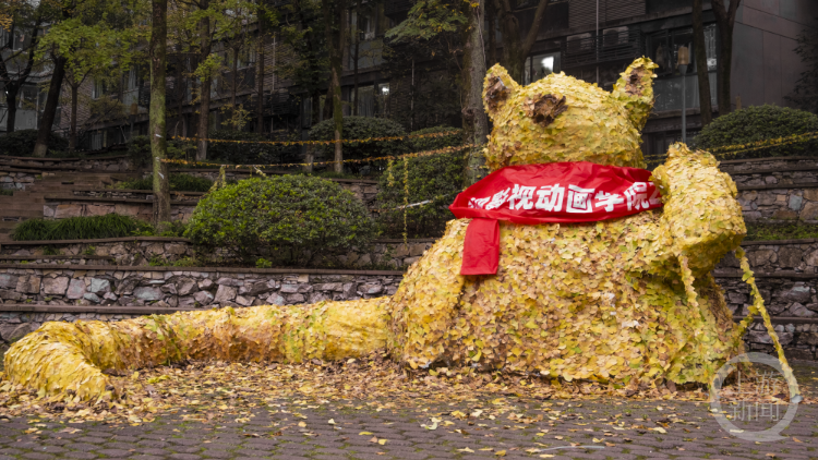 重庆一高校用落叶留住“秋天的美好”