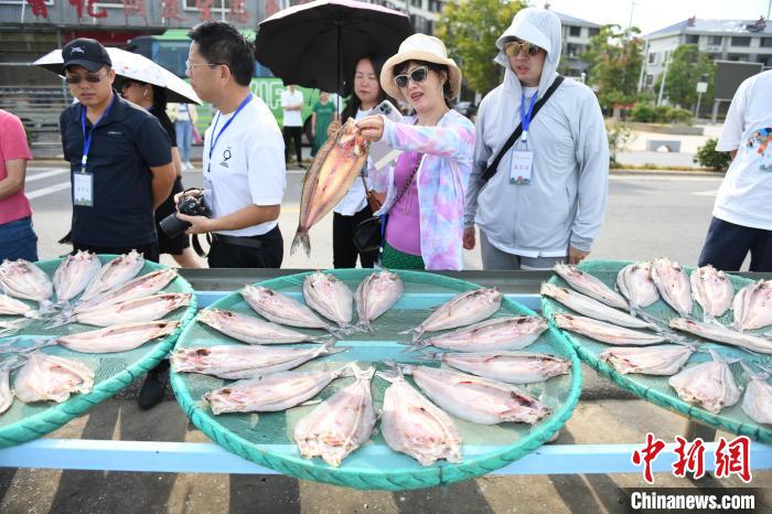 湖南岳阳洞庭渔民上岸   晒风干鱼年产值超2亿元