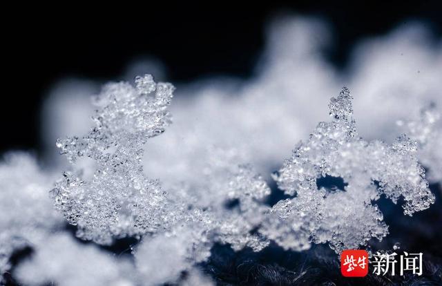 探秘微观世界下的雪花究竟长啥样