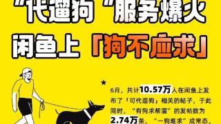 新经济观察丨代遛狗城市热度图发布，超5万大学生愿意“押学生证遛狗”