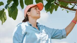 美国水果探险家：全国找水果古树，就为拯救那些要绝种的稀有水果