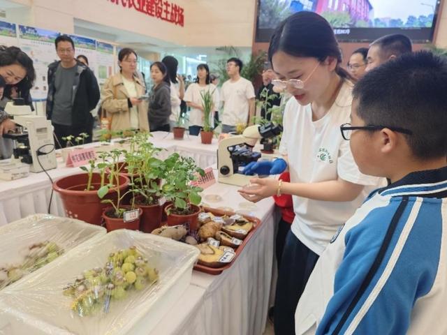 践行植物医生使命，守护国家粮食安全