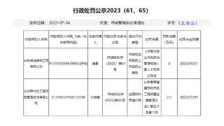 山东诺诚装饰工程有限公司、山东新世纪工程项目管理咨询有限公司因违规被行政处罚