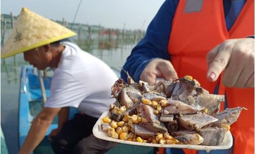 阳澄湖大闸蟹提前线上热销 ！电商平台助力 养殖、消费两端受益