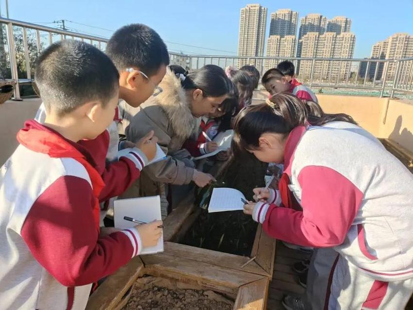 以“劳”赋能 济南祥泰实验学校开展跨学科“劳动+”主题活动