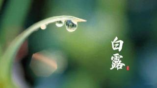 白露节气，不管有钱没钱，都要吃这“2菜2果”，滋补解秋燥