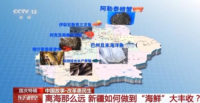 离海那么远 “戈壁渔民”如何做到“海鲜”大丰收