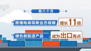 韧性强、活力足 数据里看见外贸“新”“欣”向荣