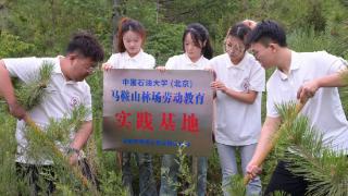 青系油缘筑梦乡振 |中石大学子赴赤峰开展社会实践活动