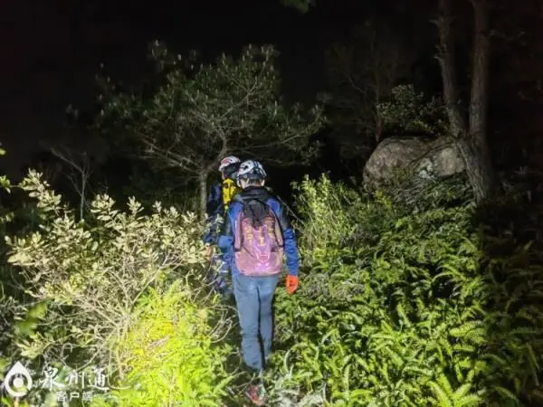 搜山！搜山！失踪三天两夜，九旬老人终于获救……