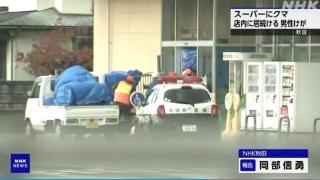 日本一超市遭熊“入侵”致1人受伤 警方正尝试捕捉