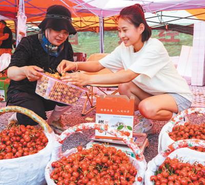 瓜果飘香 润泽夏日（文化中国行）