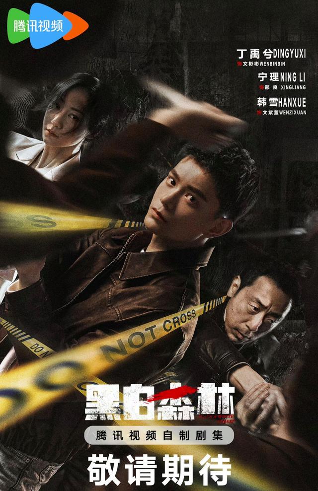 丁禹兮悬疑剧《黑白森林》：上演刑警擒凶斗恶！