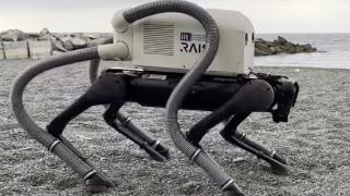 意大利科学家研发新型四足机器人：专为清理海滩烟头设计