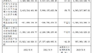 ST云城2022年净亏损8.12亿元