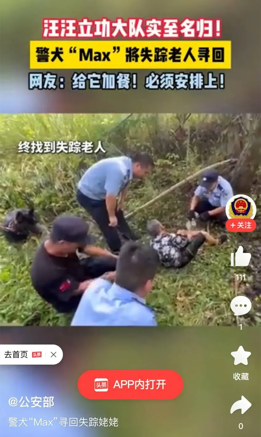 警犬“Max”闻拐杖找到老人，登上公安部头条号！全网都盯着→加餐加餐！