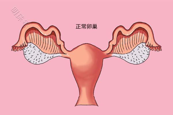 女性小知识：关于月经的二三事，你了解吗？建议多学习下