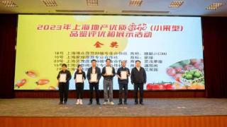 本市举办上海地产优质番茄（小果型） 品鉴评优和展示