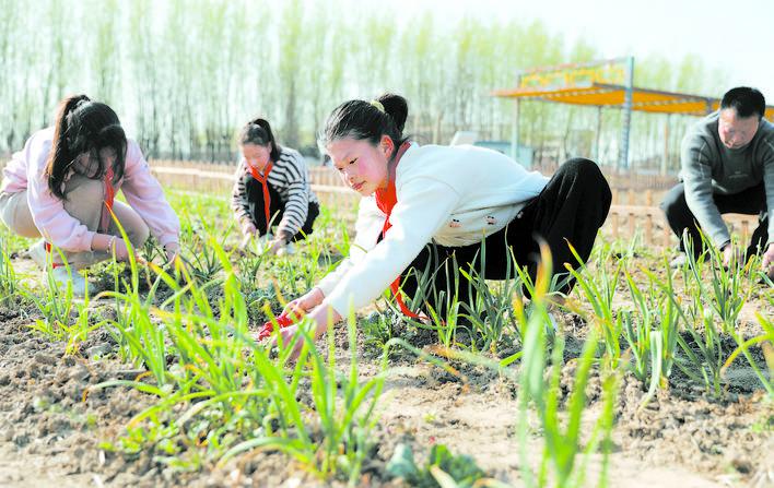 劳动实践 感受春天