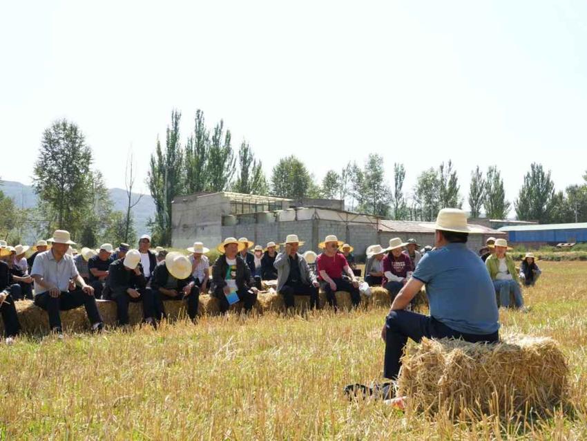 一场“草墩墩”上的拉家常 一次入心入脑的宣讲——互助县召开秸秆禁燃和综合利用政策宣讲会暨现场观摩会